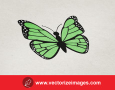 Free Butterfly Vector Art