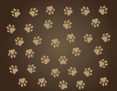 Dog Paw Print Silhouette